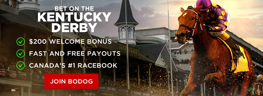 bodog kentucky